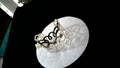 Brighton CLEO BLANC silver tone hammered cuff bracelet