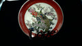 6 ¼ " Vintage Japanese Satsuma porcelain plate