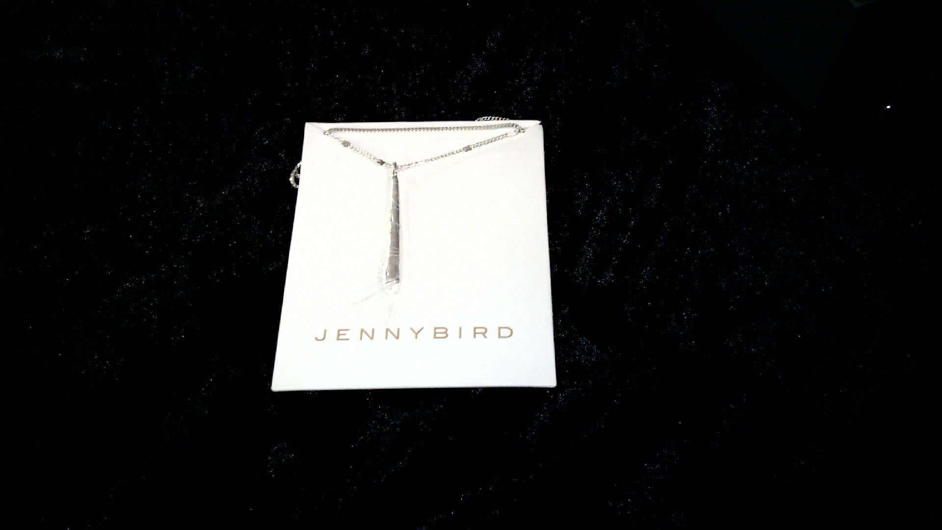 Jenny Bird Leana Pendant Double Chain Layered Necklace-Silver tone