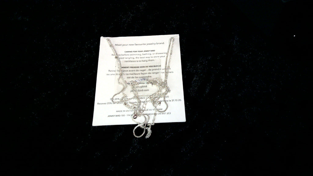 Jenny Bird Leana Pendant Double Chain Layered Necklace-Silver tone