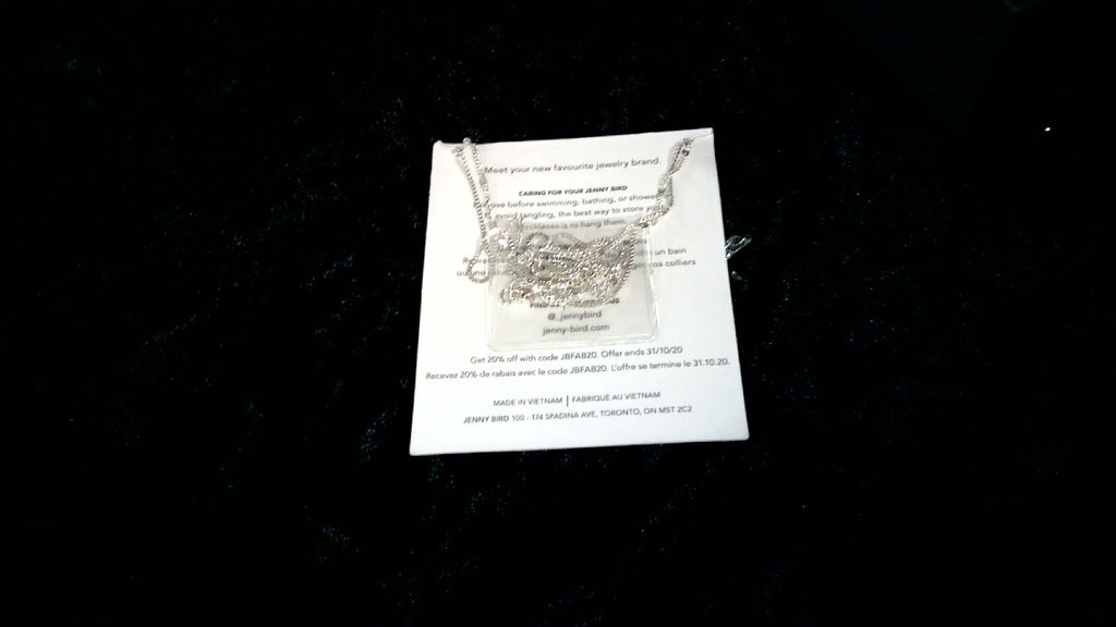 Jenny Bird Leana Pendant Double Chain Layered Necklace-Silver tone
