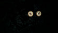 Vintage Petit Point Needlepoint Floral Clip on Earrings, Gold- Tone Rope Boarder